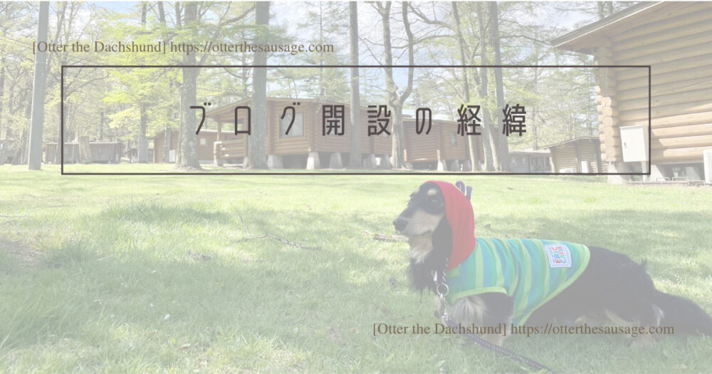 Blog Header image_traveling-with-dog-in-japan-adventures-of-tabi-inu-blog-1-year-anniversary_犬と旅行_犬連れ旅行_ブログ開設の経緯